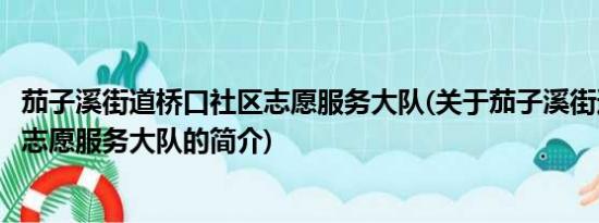 茄子溪街道桥口社区志愿服务大队(关于茄子溪街道桥口社区志愿服务大队的简介)