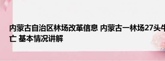 内蒙古自治区林场改革信息 内蒙古一林场27头牛被雷击死亡 基本情况讲解