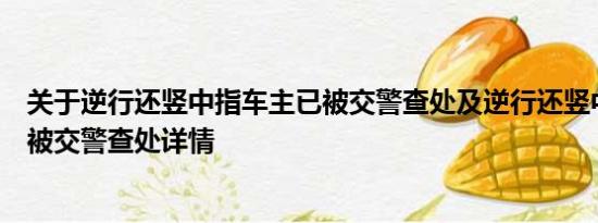 关于逆行还竖中指车主已被交警查处及逆行还竖中指车主已被交警查处详情