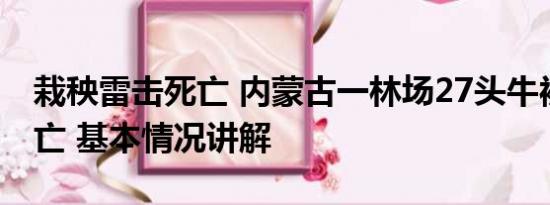 栽秧雷击死亡 内蒙古一林场27头牛被雷击死亡 基本情况讲解