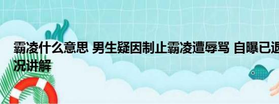 霸凌什么意思 男生疑因制止霸凌遭辱骂 自曝已退学 基本情况讲解