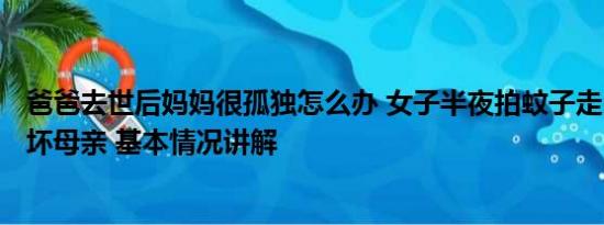 爸爸去世后妈妈很孤独怎么办 女子半夜拍蚊子走出158步吓坏母亲 基本情况讲解