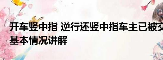 开车竖中指 逆行还竖中指车主已被交警查处 基本情况讲解