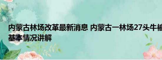 内蒙古林场改革最新消息 内蒙古一林场27头牛被雷击死亡 基本情况讲解