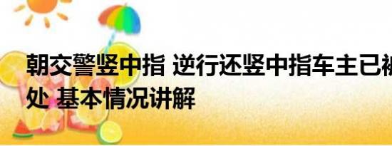 朝交警竖中指 逆行还竖中指车主已被交警查处 基本情况讲解