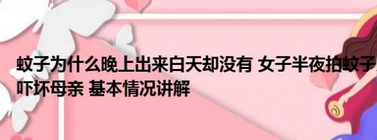 蚊子为什么晚上出来白天却没有 女子半夜拍蚊子走出158步吓坏母亲 基本情况讲解