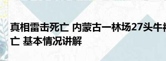 真相雷击死亡 内蒙古一林场27头牛被雷击死亡 基本情况讲解