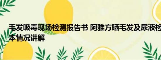 毛发吸毒现场检测报告书 阿雅方晒毛发及尿液检测报告 基本情况讲解