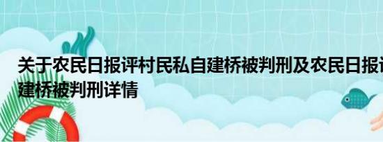 关于农民日报评村民私自建桥被判刑及农民日报评村民私自建桥被判刑详情