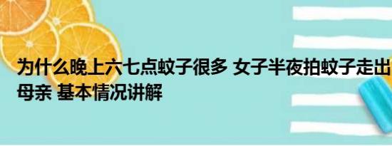 为什么晚上六七点蚊子很多 女子半夜拍蚊子走出158步吓坏母亲 基本情况讲解