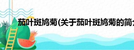 茄叶斑鸠菊(关于茄叶斑鸠菊的简介)