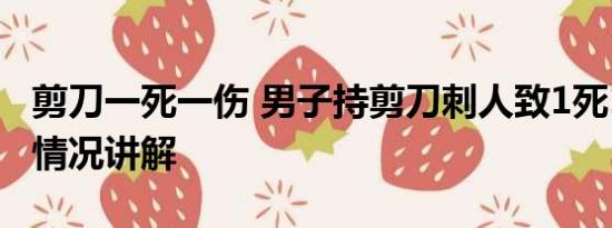 剪刀一死一伤 男子持剪刀刺人致1死1伤 基本情况讲解