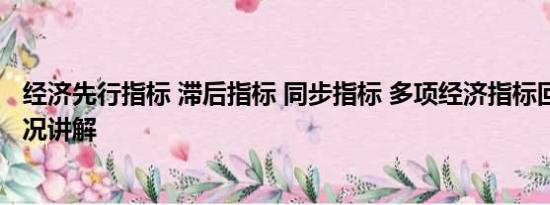 经济先行指标 滞后指标 同步指标 多项经济指标回升 基本情况讲解