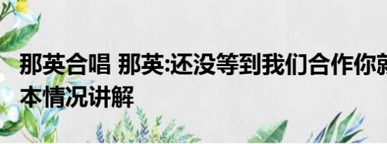 那英合唱 那英:还没等到我们合作你就走了 基本情况讲解