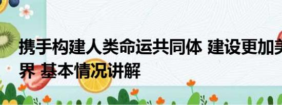 携手构建人类命运共同体 建设更加美好的世界 基本情况讲解