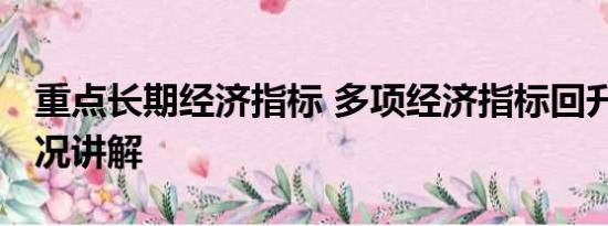 重点长期经济指标 多项经济指标回升 基本情况讲解