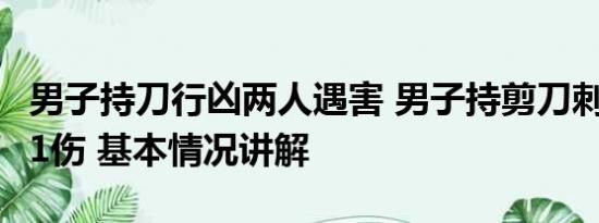 男子持刀行凶两人遇害 男子持剪刀刺人致1死1伤 基本情况讲解