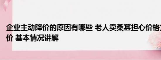 企业主动降价的原因有哪些 老人卖桑葚担心价格太贵主动降价 基本情况讲解