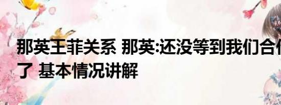 那英王菲关系 那英:还没等到我们合作你就走了 基本情况讲解