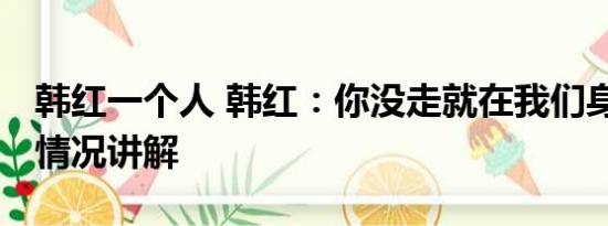 韩红一个人 韩红：你没走就在我们身边 基本情况讲解