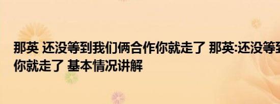 那英 还没等到我们俩合作你就走了 那英:还没等到我们合作你就走了 基本情况讲解