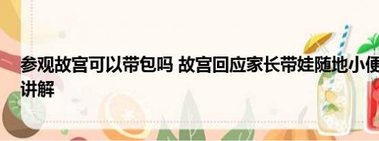 参观故宫可以带包吗 故宫回应家长带娃随地小便 基本情况讲解