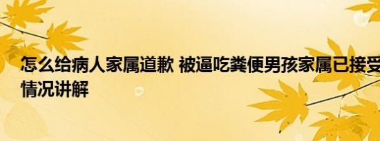 怎么给病人家属道歉 被逼吃粪便男孩家属已接受道歉 基本情况讲解