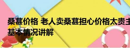 桑葚价格 老人卖桑葚担心价格太贵主动降价 基本情况讲解