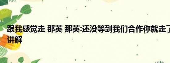 跟我感觉走 那英 那英:还没等到我们合作你就走了 基本情况讲解