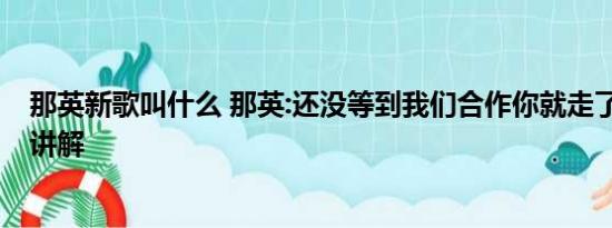 那英新歌叫什么 那英:还没等到我们合作你就走了 基本情况讲解