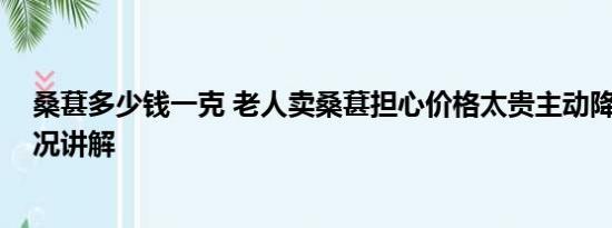 桑葚多少钱一克 老人卖桑葚担心价格太贵主动降价 基本情况讲解