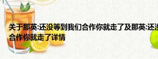 关于那英:还没等到我们合作你就走了及那英:还没等到我们合作你就走了详情