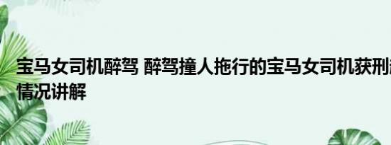 宝马女司机醉驾 醉驾撞人拖行的宝马女司机获刑超6年 基本情况讲解