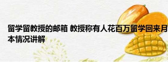 留学留教授的邮箱 教授称有人花百万留学回来月薪5000 基本情况讲解