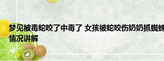 梦见被毒蛇咬了中毒了 女孩被蛇咬伤奶奶抓蜘蛛吸毒 基本情况讲解