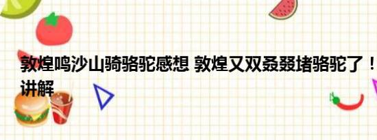 敦煌鸣沙山骑骆驼感想 敦煌又双叒叕堵骆驼了！ 基本情况讲解