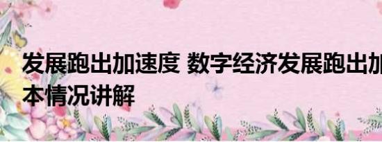 发展跑出加速度 数字经济发展跑出加速度 基本情况讲解