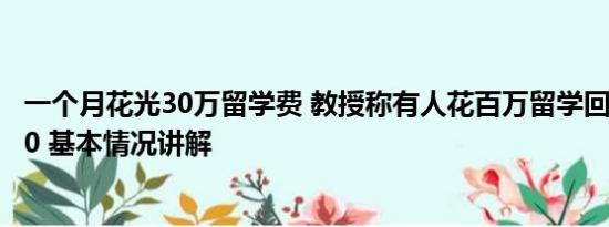 一个月花光30万留学费 教授称有人花百万留学回来月薪5000 基本情况讲解