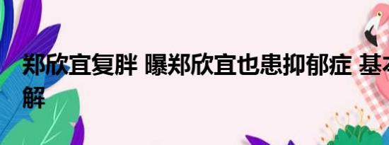 郑欣宜复胖 曝郑欣宜也患抑郁症 基本情况讲解