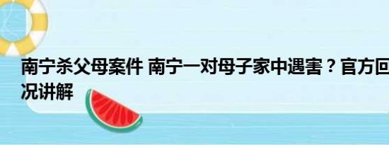 南宁杀父母案件 南宁一对母子家中遇害？官方回应 基本情况讲解