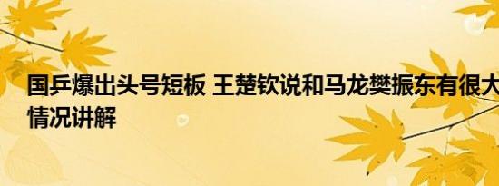 国乒爆出头号短板 王楚钦说和马龙樊振东有很大差距 基本情况讲解