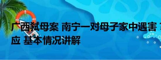 广西弑母案 南宁一对母子家中遇害？官方回应 基本情况讲解