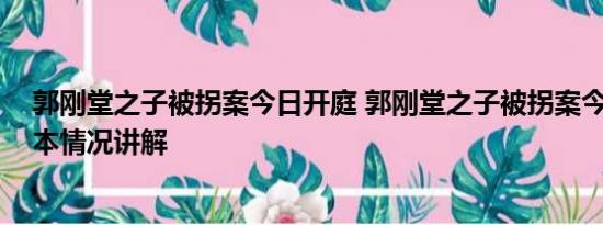 郭刚堂之子被拐案今日开庭 郭刚堂之子被拐案今日开庭 基本情况讲解