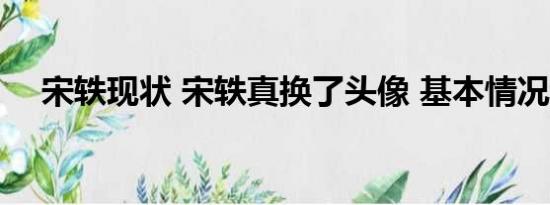 宋轶现状 宋轶真换了头像 基本情况讲解