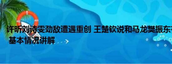 许昕刘诗雯劲敌遭遇重创 王楚钦说和马龙樊振东有很大差距 基本情况讲解