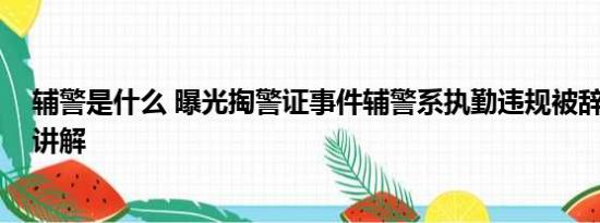 辅警是什么 曝光掏警证事件辅警系执勤违规被辞 基本情况讲解