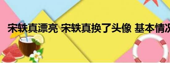 宋轶真漂亮 宋轶真换了头像 基本情况讲解