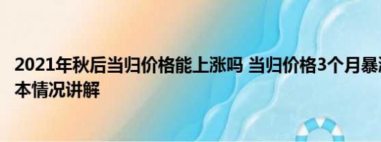 2021年秋后当归价格能上涨吗 当归价格3个月暴涨113% 基本情况讲解