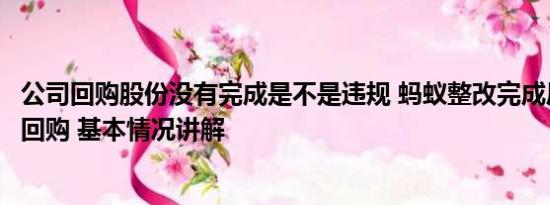 公司回购股份没有完成是不是违规 蚂蚁整改完成后启动股份回购 基本情况讲解