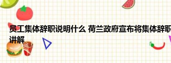 员工集体辞职说明什么 荷兰政府宣布将集体辞职 基本情况讲解